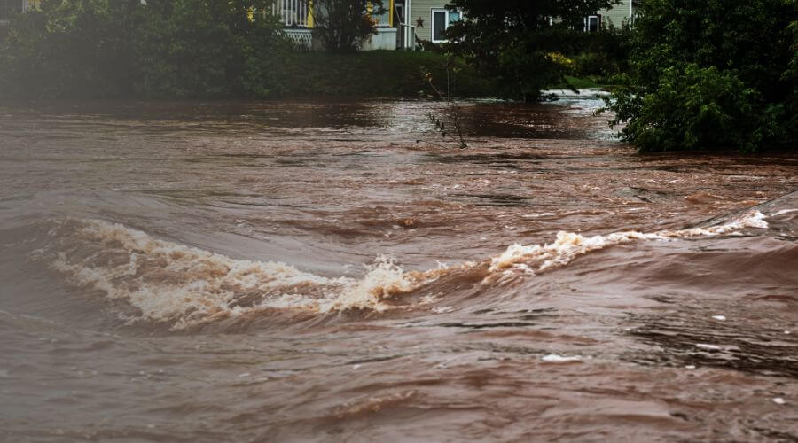 Why choose Nearby Water Damage for water damage restoration in Morristown, AZ